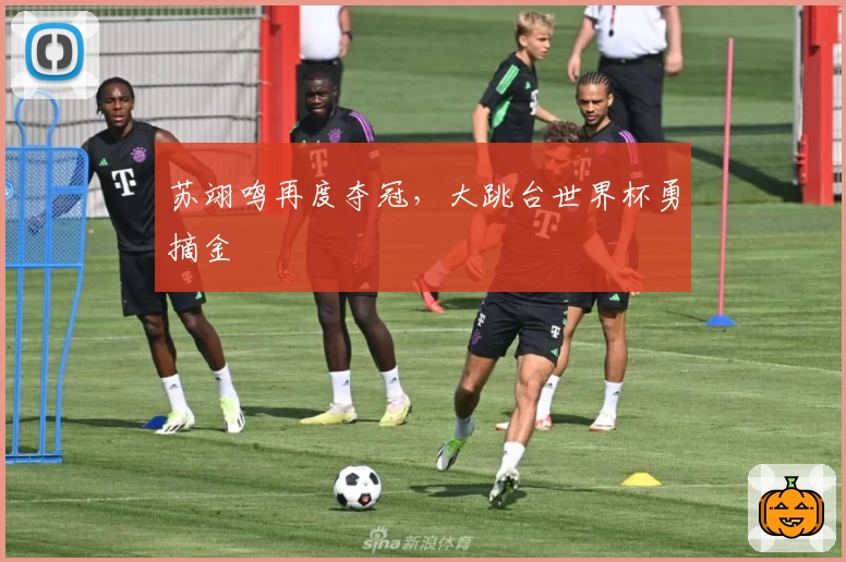 苏翊鸣再度夺冠，大跳台世界杯勇摘金