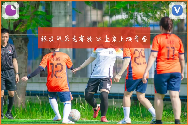 银发风采竞赛场 冰壶桌上焕青春