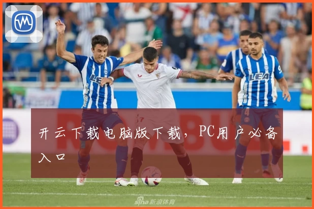 开云下载电脑版下载，PC用户必备入口